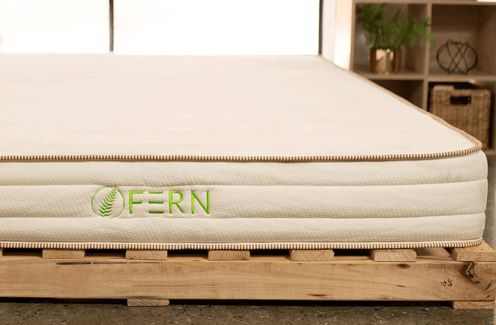 fern-mattress-2